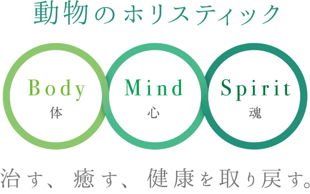 動物のホリスティック「体」「心」「魂」。治す、癒す、健康を取り戻す